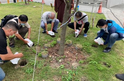 花葬|環保葬5種類！全台樹葬、花葬設施、費用、地點總整。